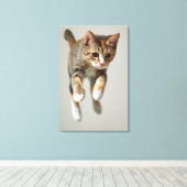 Calico Cat Jumping Canvas Afdruk (Insitu (Houten vloer))