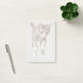 Calico Cat Jumping Post-it® Notes (Kantoor)