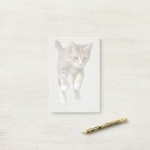 Calico Cat Jumping Post-it® Notes (Op bureau)