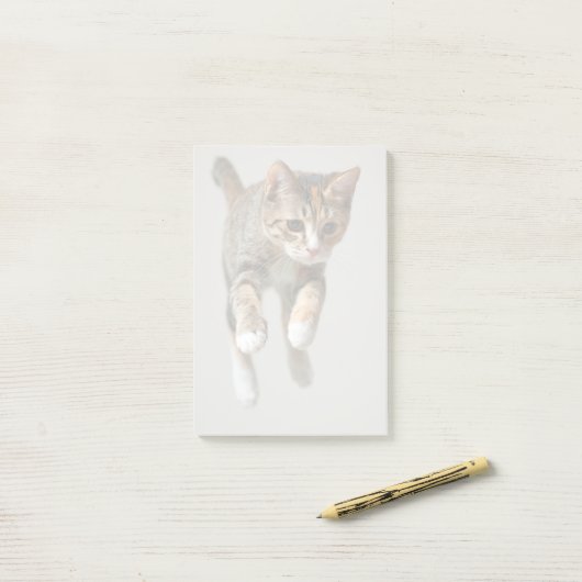 Calico Cat Jumping Post-it® Notes (Op bureau)