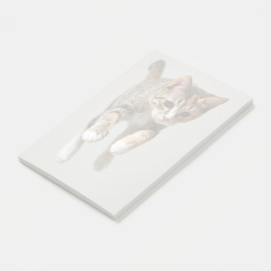 Calico Cat Jumping Post-it® Notes (Schuin)