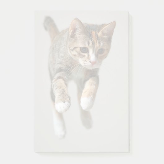 Calico Cat Jumping Post-it® Notes (Voorkant)