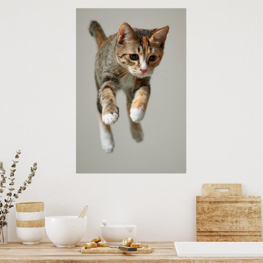 Calico Cat Jumping Poster (Keuken)