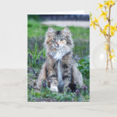 Calico Cat Kaart (Gele Bloem)