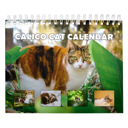 Calico Cat Kalender (Hoes)
