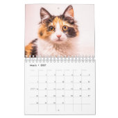 Calico Cat Kalender (Mar 2027)