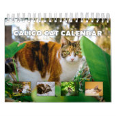 Calico Cat Kalender (Hoes)
