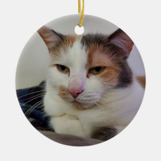 Calico cat keramisch ornament (Voorkant)