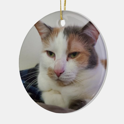 Calico cat keramisch ornament (Links)