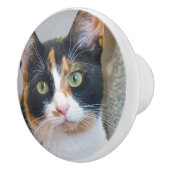Calico Cat Keramische Knop (Rechts)