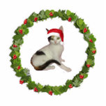 Calico Cat Kerstmis Wreath Fotobeeldje Ornament<br><div class="desc">Deze acrylkerstversiering van een calicaanse kat in een kersthoed in een kerstkreet komt met een rood lintje om te hangen. De definitieve grootte is benaderend en hangt van besnoeiingsgrootte van afbeelding af.</div>