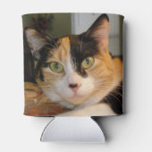 Calico Cat-Koelboxxen Blikjeskoeler (Achterkant)