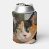 Calico Cat-Koelboxxen Blikjeskoeler (Blikje Achterkant)