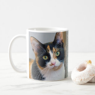 Calico Cat Koffiemok