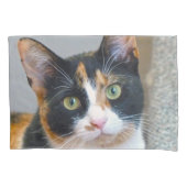 Calico Cat Kussensloop (Voorkant)