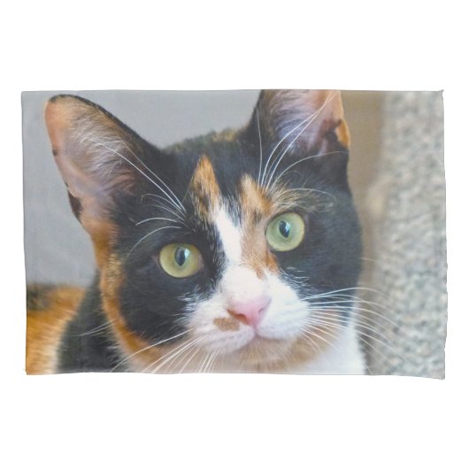 Calico Cat Kussensloop (Voorkant)