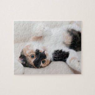 Calico Cat Laying op zijn rug met poten omhoog Legpuzzel