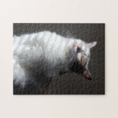 Calico cat legpuzzel (Horizontaal)