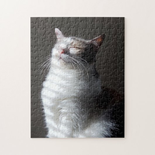 Calico cat legpuzzel (Verticaal)