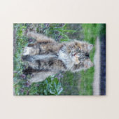 Calico Cat Legpuzzel (Horizontaal)