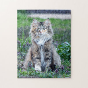 Calico Cat Legpuzzel