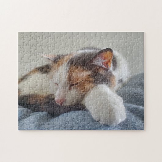 Calico Cat Legpuzzel (Horizontaal)