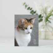 Calico Cat Love Briefkaart (Staand voorkant)