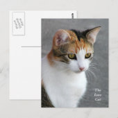 Calico Cat Love Briefkaart (Voorkant / Achterkant)