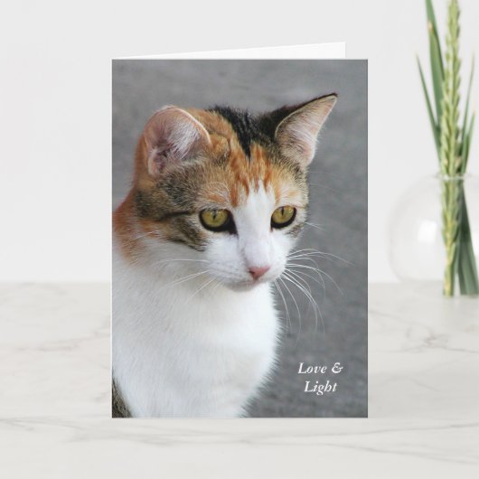 Calico Cat Love & Light Kaart (Voorkant)