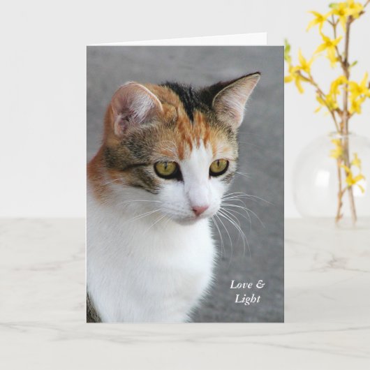 Calico Cat Love & Light Kaart (Gele Bloem)