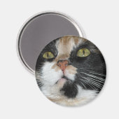 Calico Cat Magneet (Voorkant / Achterkant)