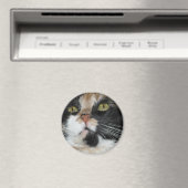 Calico Cat Magneet (Insitu (Vaatwasser))