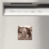 Calico cat magnet (Insitu (Vaatwasser))