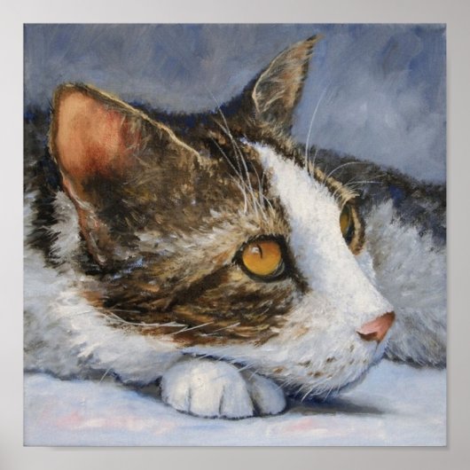 Calico Cat met Geel Oyes Portret Poster (Voorkant)