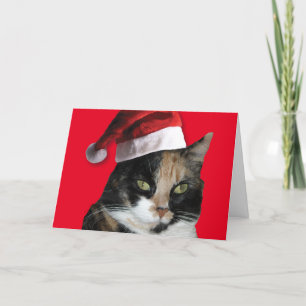 Calico Cat met Pet van de Kerstman Feestdagen Kaart