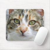 Calico Cat Mousepad Muismat (Met muis)