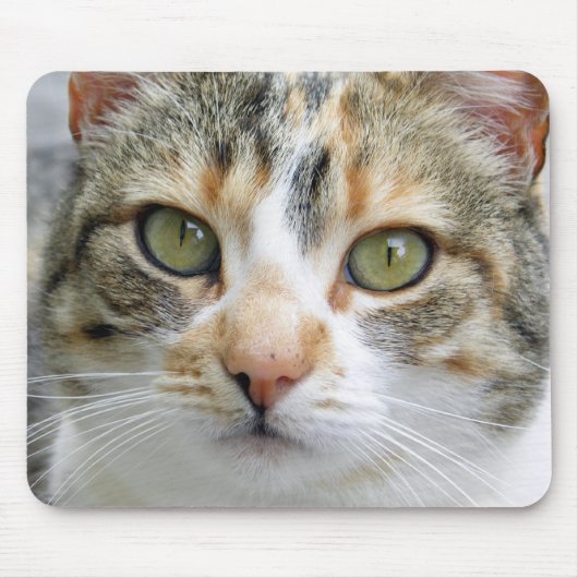 Calico Cat Mousepad Muismat (Voorkant)