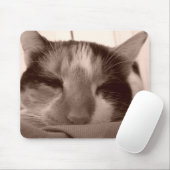 Calico Cat Mousepad Muismat (Met muis)
