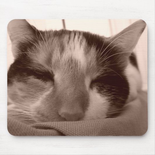 Calico Cat Mousepad Muismat (Voorkant)