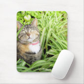  Calico Cat Mousepad Muismat (Met muis)
