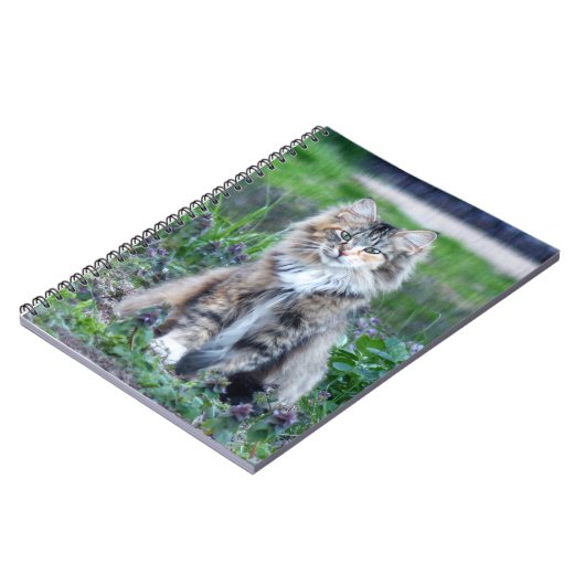 Calico Cat Notitieboek (Linkerzijde)