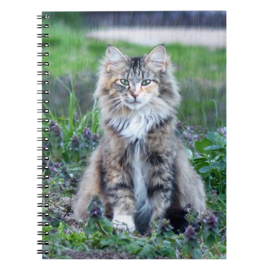 Calico Cat Notitieboek (Voorkant)