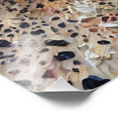 Calico Cat Ontspannen Vredig op Textured Ground Foto Afdruk (Hoek)