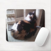 Calico Cat op kattenboom Muismat (Met muis)