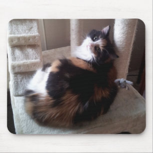 Calico Cat op kattenboom Muismat