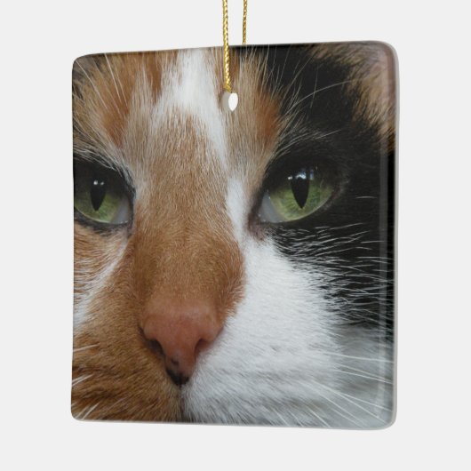 Calico Cat Ornament (Links)