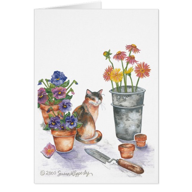 Calico Cat Pansies Daisies Waterverf "Don Juan" (Voorkant)