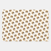 Calico Cat Portret Schilderen Schattigee Originele Inpakpapier Vel (Voorkant 2)