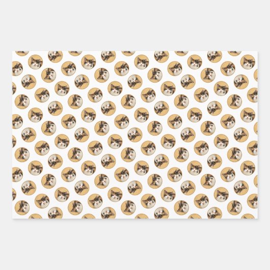 Calico Cat Portret Schilderen Schattigee Originele Inpakpapier Vel (Voorkant 2)