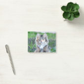 Calico Cat Post-it® Notes (Kantoor)